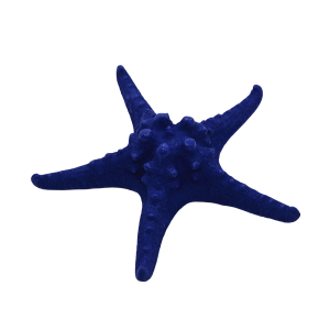 Kleurcocons - Blauwe Patrick